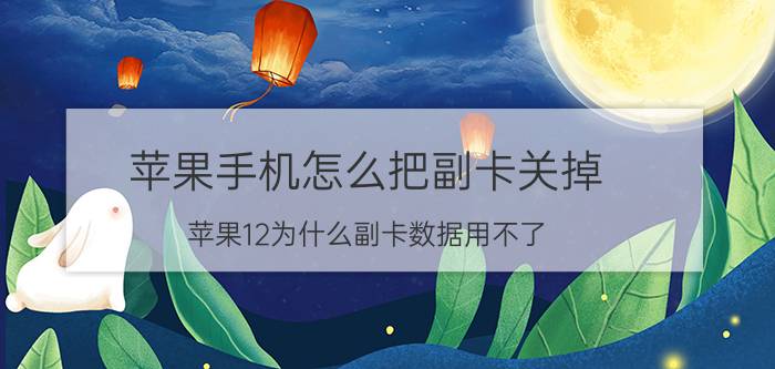 苹果手机怎么把副卡关掉 苹果12为什么副卡数据用不了？